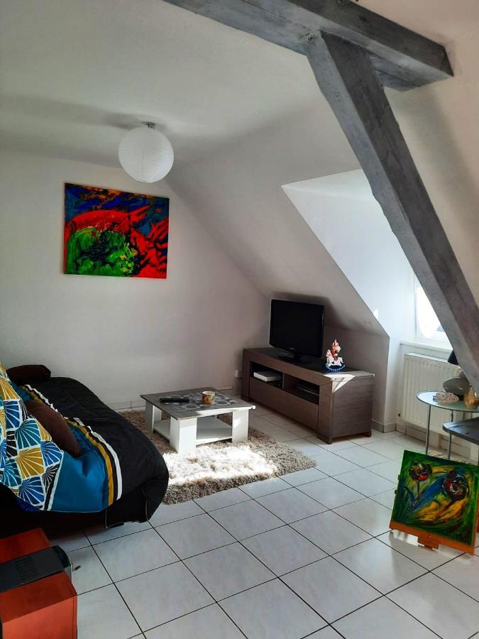 Appartement Spacieux A Ingersheim Avec Vue Sur Jardin 100 M² Exterior foto