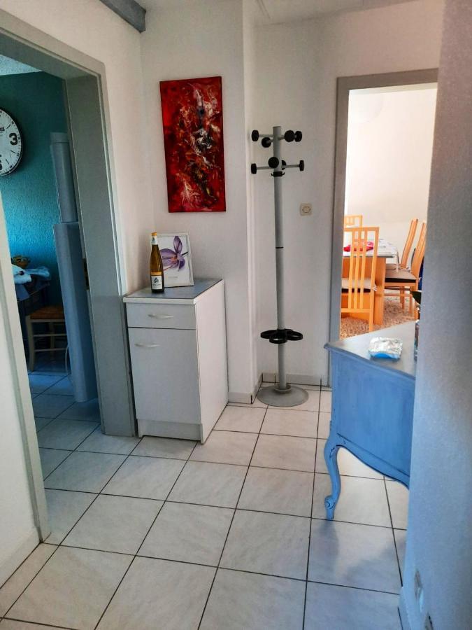 Appartement Spacieux A Ingersheim Avec Vue Sur Jardin 100 M² Exterior foto